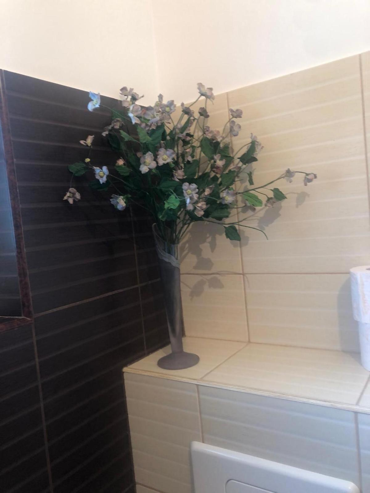 Apartament Cu 3 Camere La Poala Muntilor Fagaras Victoria  Zewnętrze zdjęcie