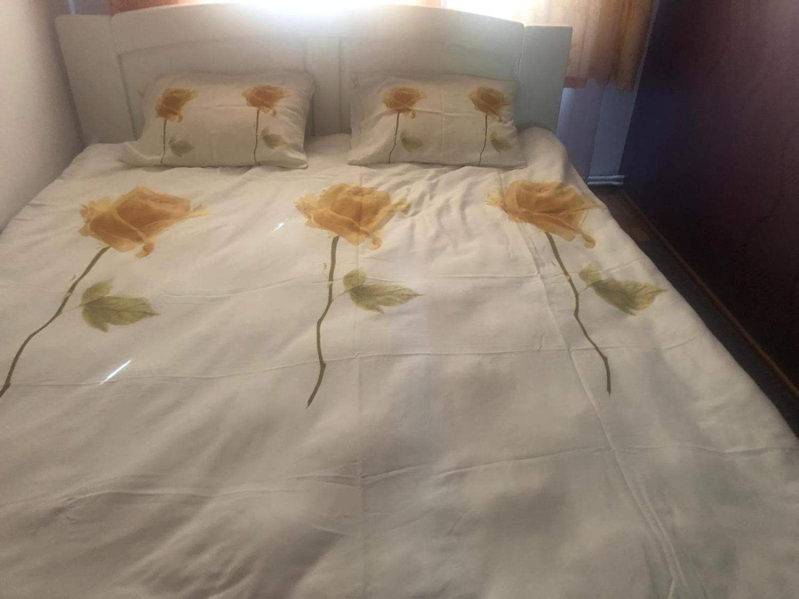 Apartament Cu 3 Camere La Poala Muntilor Fagaras Victoria  Zewnętrze zdjęcie
